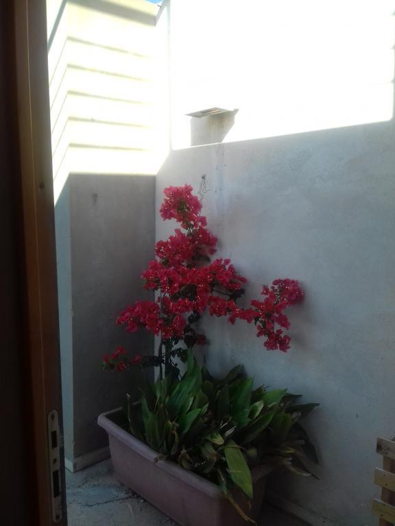 Casa Dei Fenicotteri Villa Marausa Exterior foto